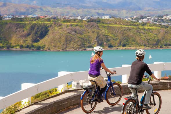 Tour en bicicleta por Wellington