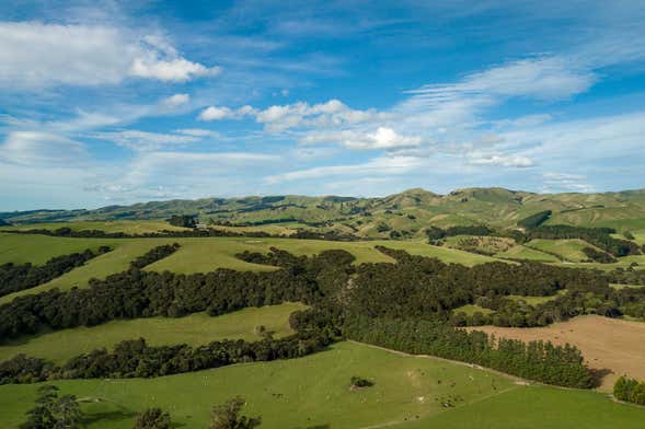 Tour del vino por Martinborough