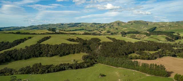 Tour del vino por Martinborough