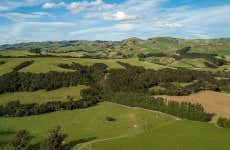 Tour del vino por Martinborough