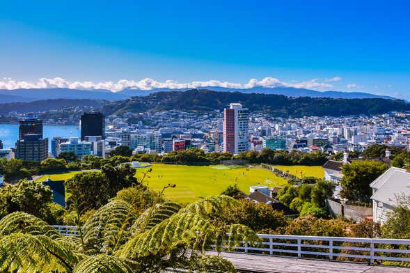 Visite de Wellington