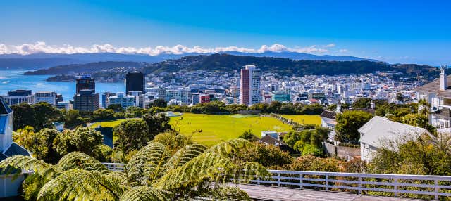 Tour por Wellington