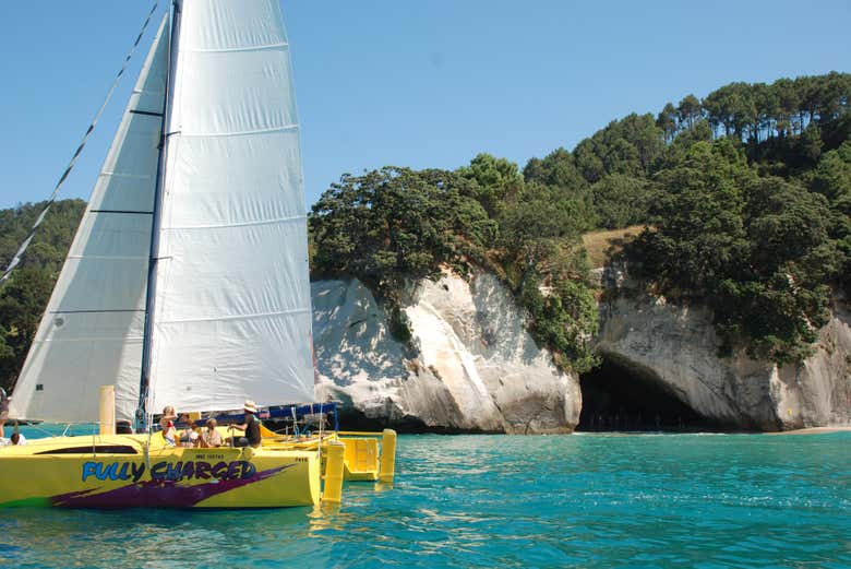 Catamaran ride along the Coromandel Coast