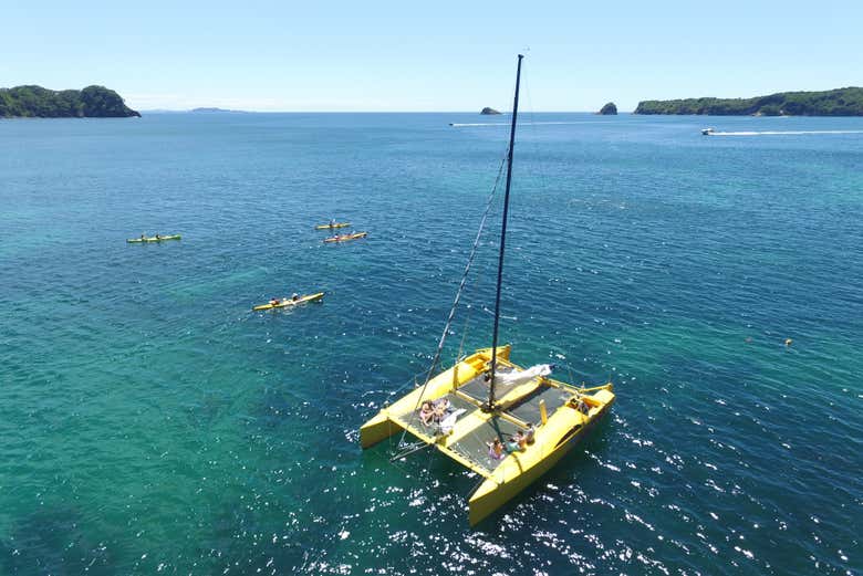 The catamaran from above