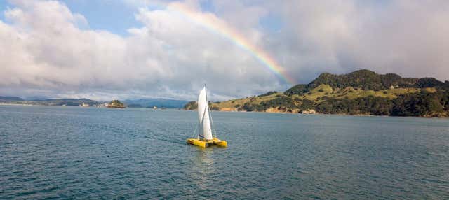 Balade en bateau sur la côte de Coromandel