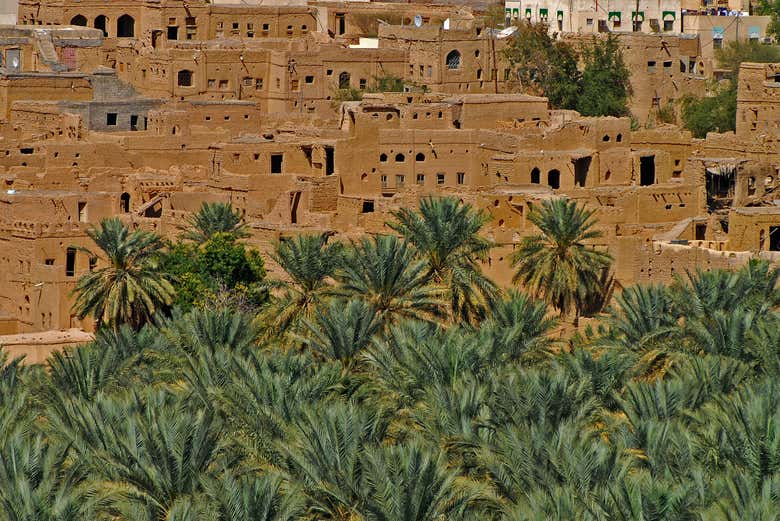 Private Vintage Buggy Tour of Al Hamra - Book at Civitatis.com