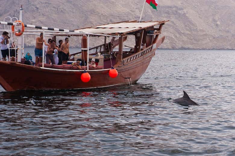 Delfini che nuotano vicino al dhow