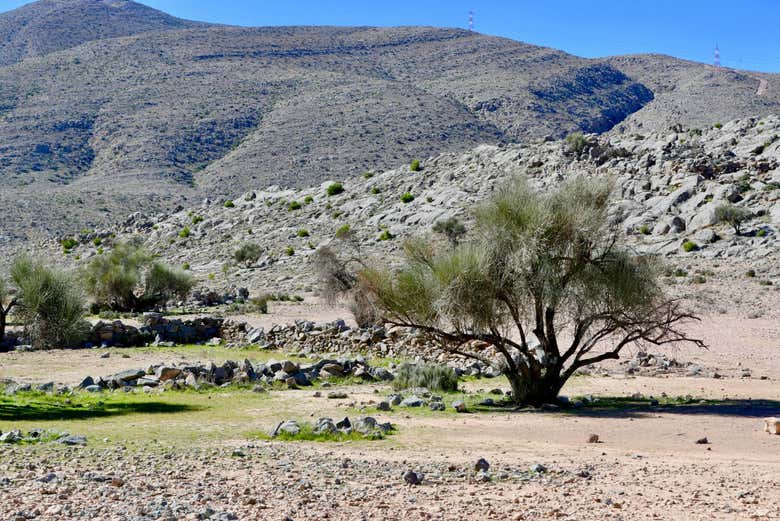 Paysages que vous verrez depuis le véhicule tout-terrain