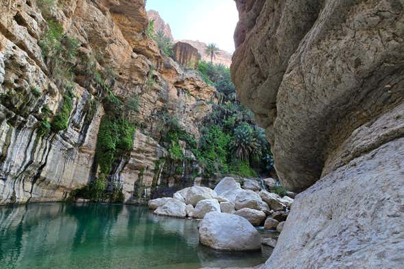 Experiencia privada de barranquismo y rápel en Wadi Tiwi