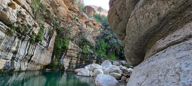 Wadi Tiwi Private Canyoning & Abseiling Tour