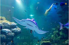 Oman Aquarium Tickets