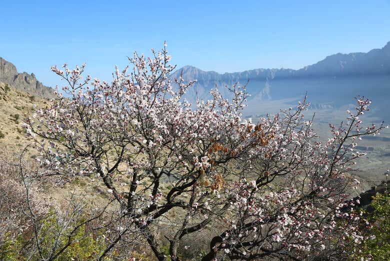 La naturaleza árida de Wakan