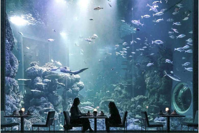 El restaurante del Acuario de Omán