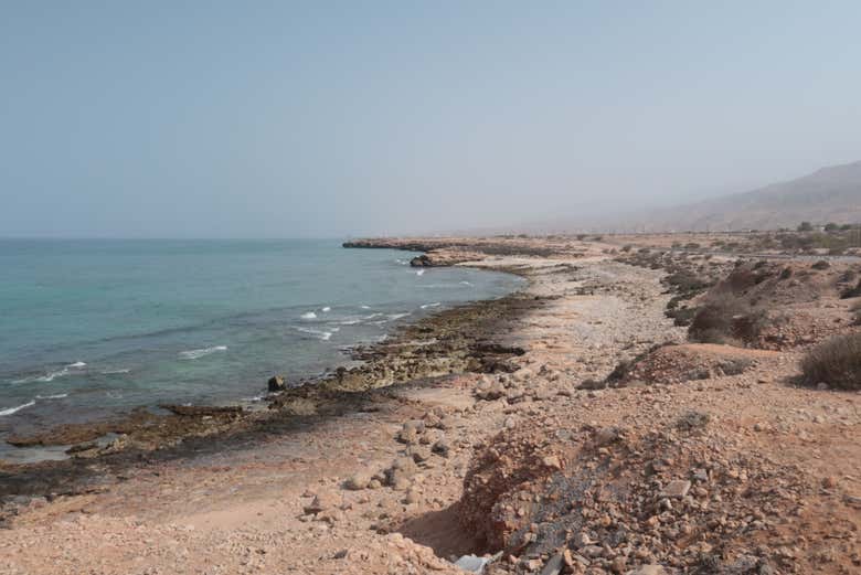 Playa de Fins 