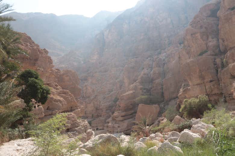 Desfiladeros de Wadi Tiwi