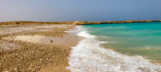 Tour de 2 días por la costa este de Omán