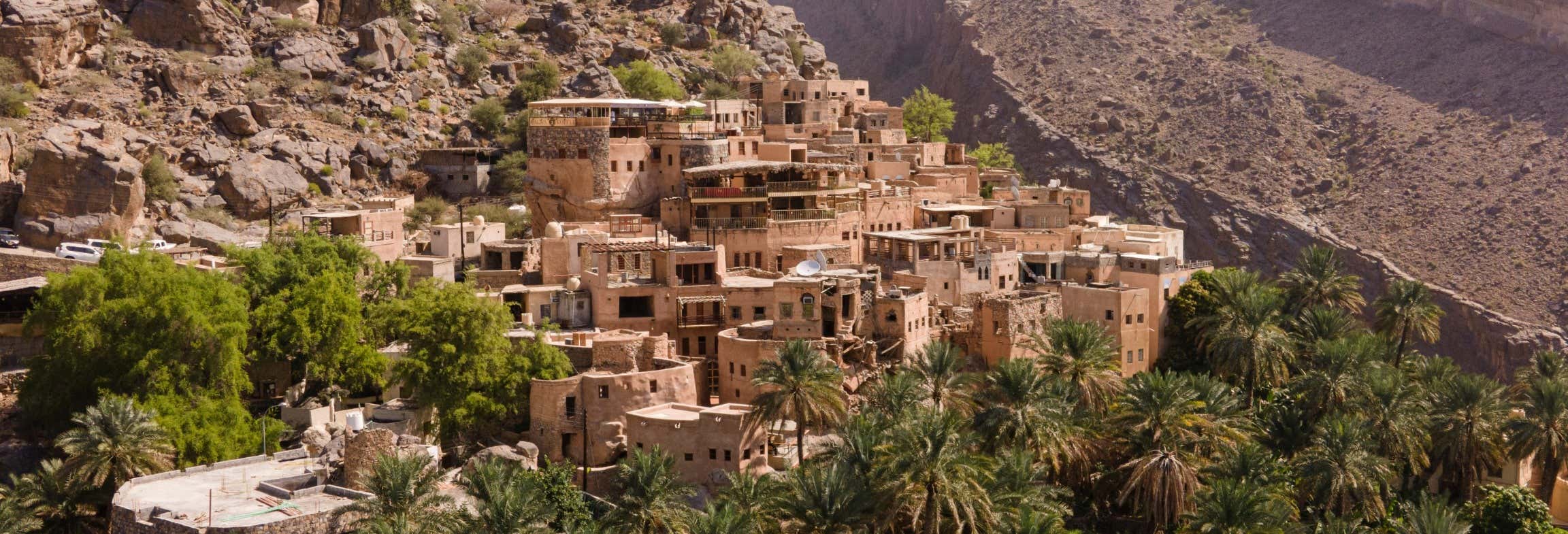 Escursioni di un giorno a Mascate