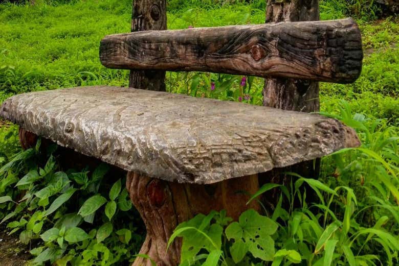 Profiter de l'excursion