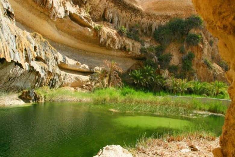 Che ne dite di un tuffo?