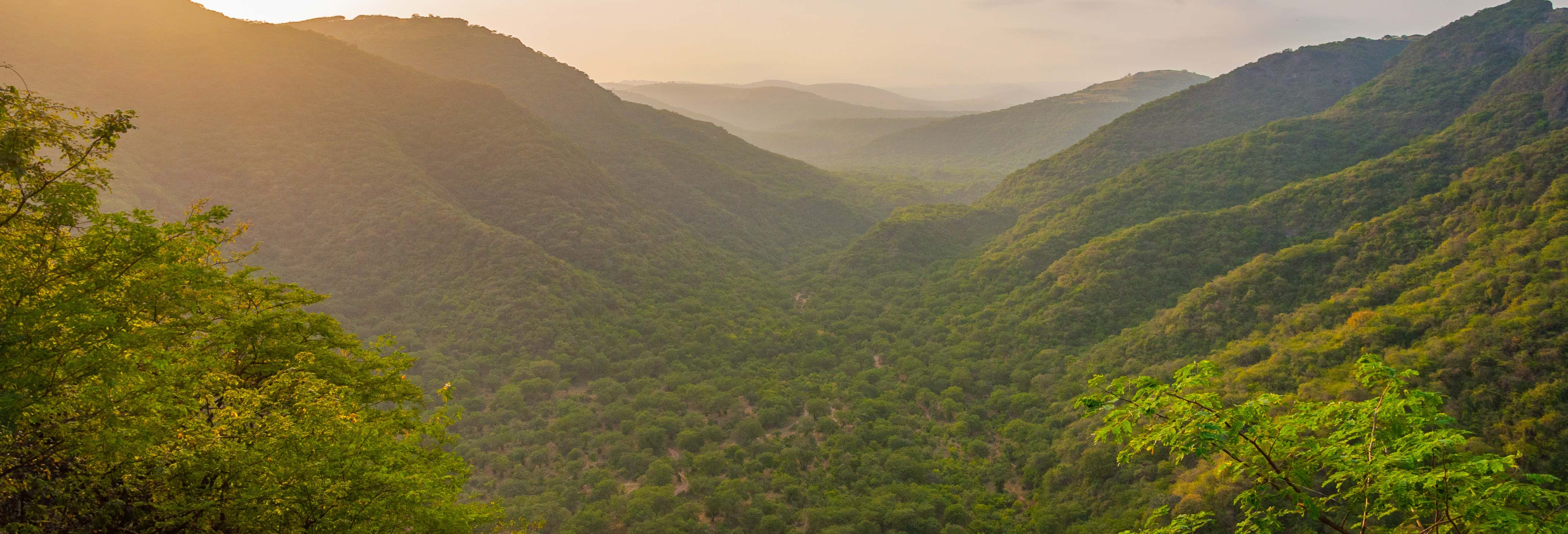 Guided tours and free tours in Salalah