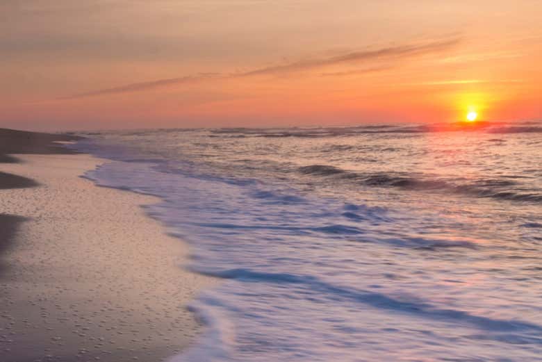 Admire a beautiful sunset