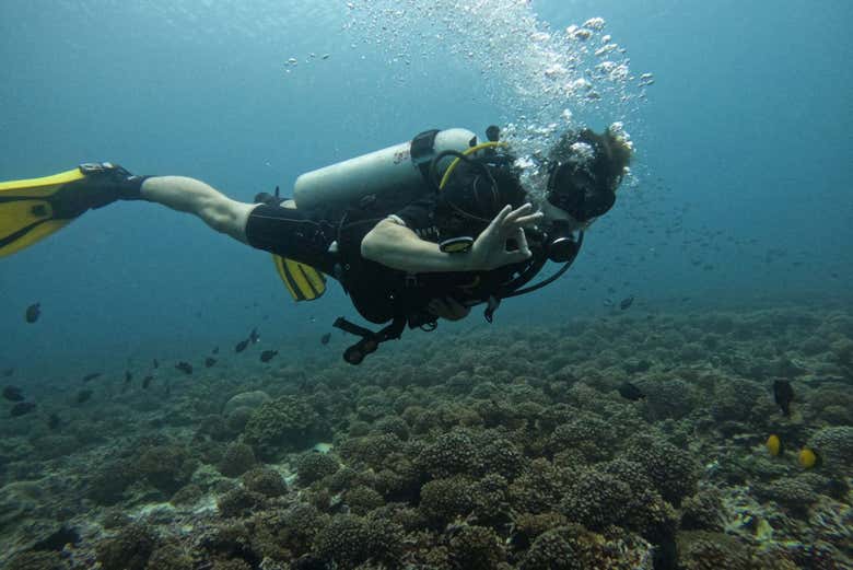 Go scuba diving on the Daymaniyat Islands!