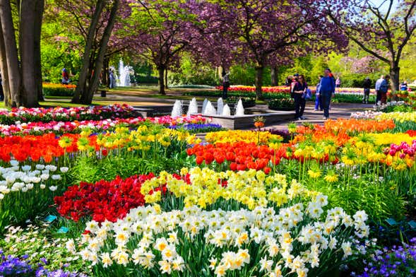 Bus pour Keukenhof, billet inclus