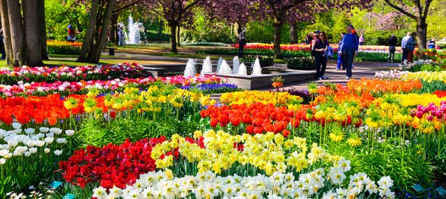 Autobús a Keukenhof con entrada