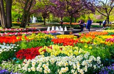 Ônibus ao Keukenhof com ingresso
