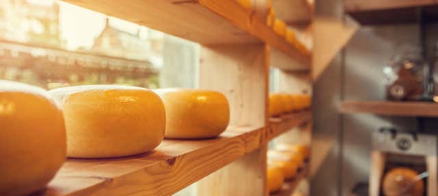 Dégustation de fromages hollandais