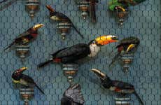 Biglietti per l'Art Zoo Museum con audioguida