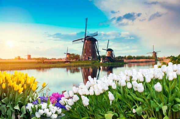 Excursión a Gouda y molinos de Kinderdijk