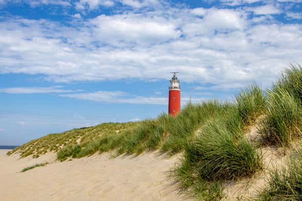 Escursione all'isola di Texel