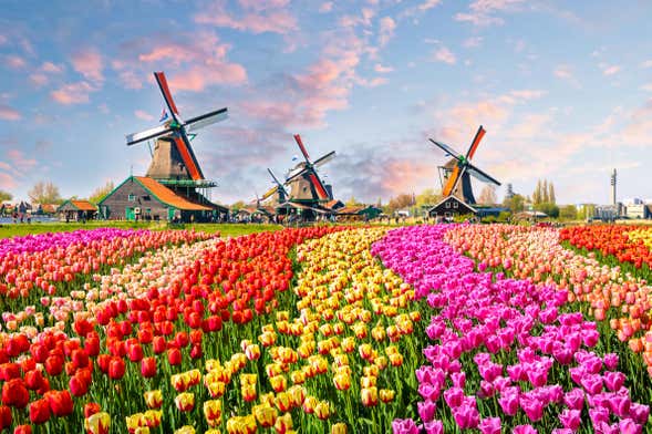 Excursión a Keukenhof