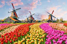 Excursión a Keukenhof