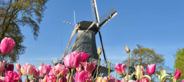Excursão a Keukenhof e Zaanse Schans