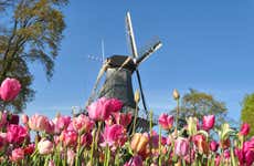 Excursión a Keukenhof y Zaanse Schans