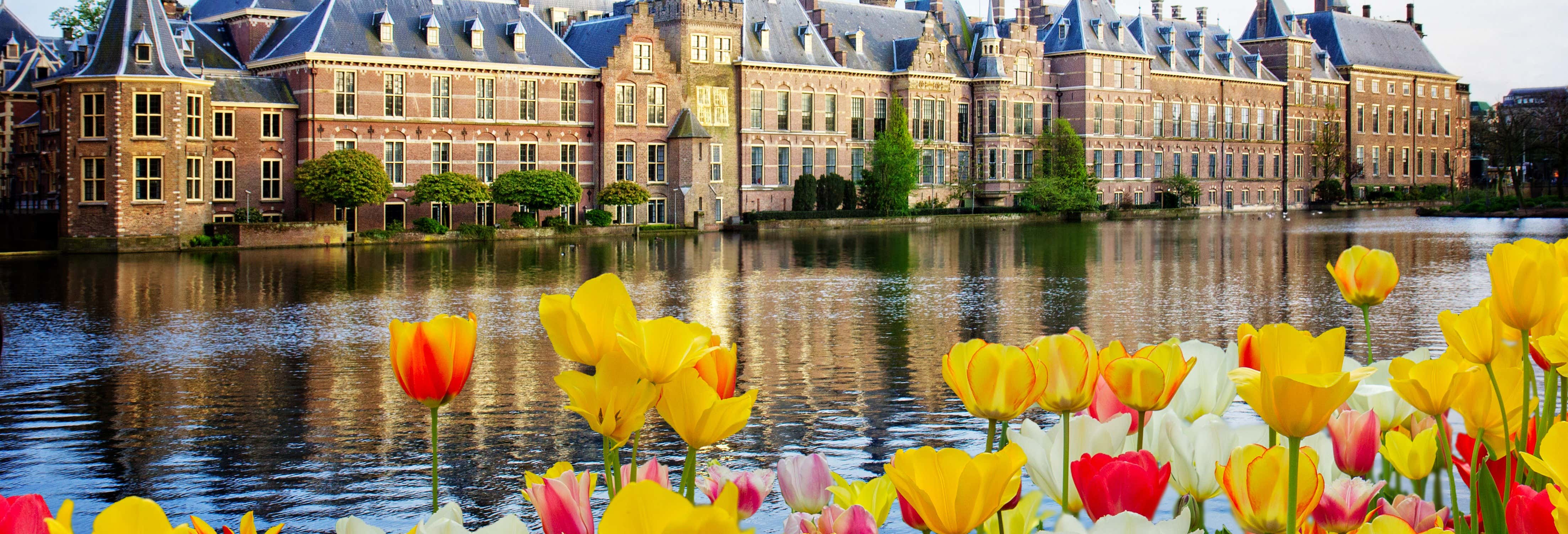 Excursiones de un día en Ámsterdam