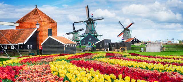 Escursione a Zaanse Schans