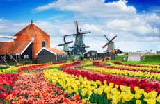 Excursión a Zaanse Schans