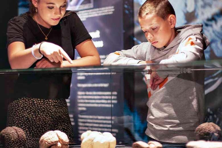 Body Worlds Amsterdam Ticket Book Online at Body Worlds Amsterdam Ticket Book Online at