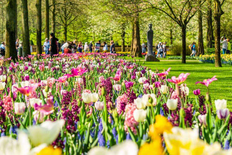 Bus de Keukenhof