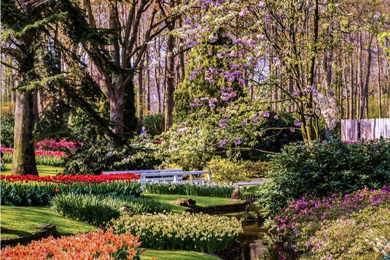 The beautiful Keukenhof Gardens