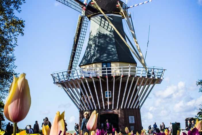Un moulin à vent dans la banlieue d'Amsterdam
