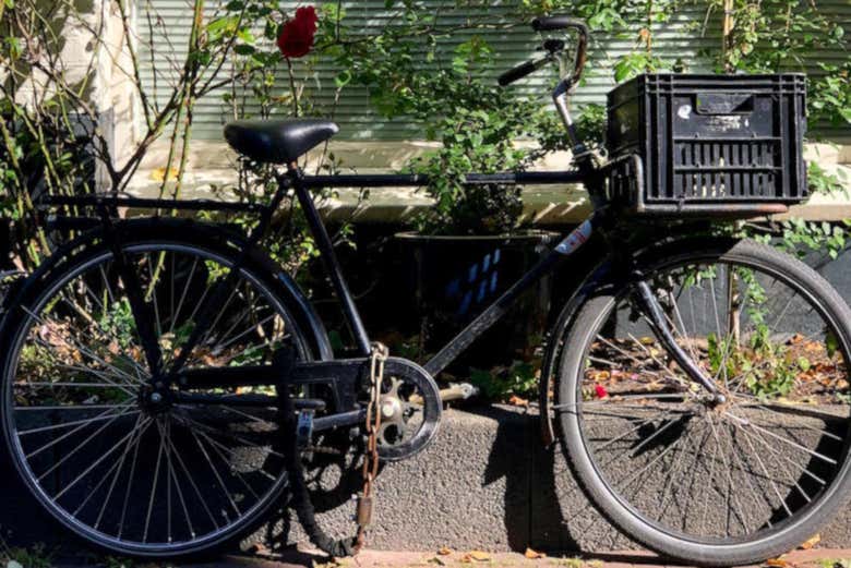 Explorez Amsterdam à vélo