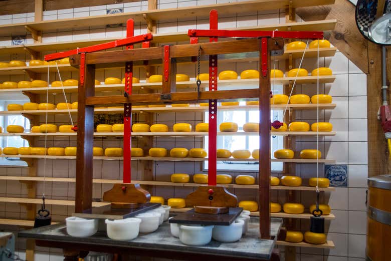 Explore a cheese factory