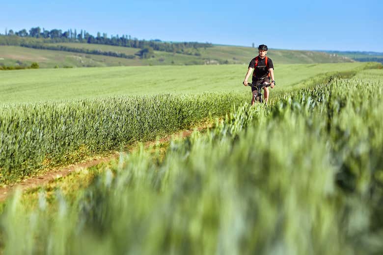 Discovering the lowlands