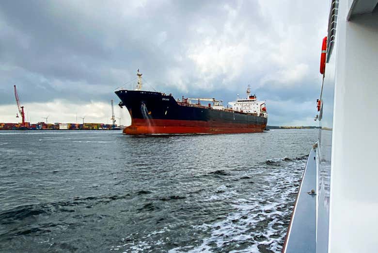 Paseo en barco por el puerto de Ámsterdam