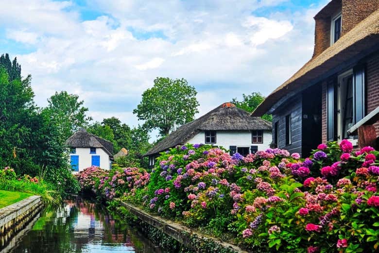 Fiori lungo un canale a Giethoorn