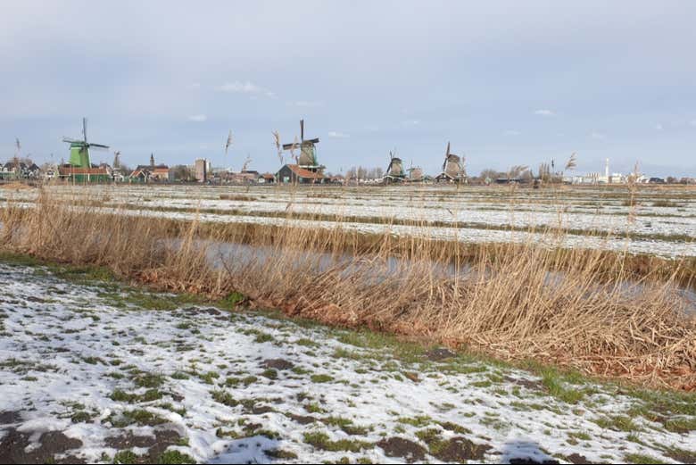 Learn about local history